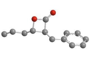 β-lactone